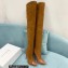 Casadei Heel 12cm Blade Leather over-the-knee boots Suede Brown 2022