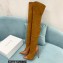 Casadei Heel 12cm Blade Leather over-the-knee boots Suede Brown 2022