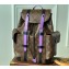 Louis Vuitton Monogram Canvas Christopher PM Backpack Bag M46247 Purple