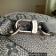 Louis Vuitton Taurillon Monogram leather Climbing Theme Keepall 50 Bag M20901 Gray