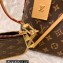 Louis Vuitton Monogram Canvas CarryAll PM Bag M46203