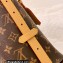Louis Vuitton Monogram Canvas CarryAll PM Bag M46203