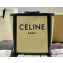 Celine LARGE SQUARE Bag in Textile with CELINE print and Calfskin 60218