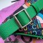 The North Face x Gucci belt bag 650299 Green