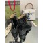 Gucci Heel 6.5cm GG ankle boots with buckles 701100 Black 2022