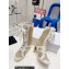 Dior D-zenith heeled Ankle Boots Beige 2022