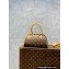 Louis Vuitton Monogram Canvas Vintage Mini Tote Bag M50202