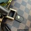 Louis Vuitton Damier Canvas Vintage Mini Tote Bag M50202