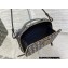 Dior Caro Box Bag with Chain in Oblique Canvas