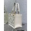 Dior Small Essential Tote Bag in Archicannage Calfskin White 2022