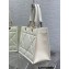 Dior Medium Essential Tote Bag in Archicannage Calfskin White 2022