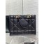 Dior Medium Essential Tote Bag in Archicannage Calfskin Black 2022