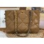 Chanel Shiny Lambskin CHANEL 19 Shopping Bag AS3660 Brown 2022