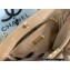 Chanel Shiny Lambskin CHANEL 19 Shopping Bag AS3519 Brown 2022