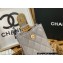 Chanel Lambskin Flap Phone Holder with Chain Bag AP2981 Light Gray 2022