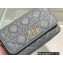 Dior Caro Pouch Bag in Supple Cannage Calfskin Gray