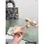 Dior Idylle Heel 3.5cm Slides in Grosgrain and Patent Calfskin Nude 2023