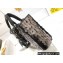 Dior Lady D-Joy Bag in Calfskin Embroidered with Sequins Black