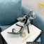 Fendi x Versace Heel 10.5cm Fendace Sandals Calfskin Silver 2022