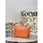 Loewe Small Cubi bag in nappa calfskin Orange 2023