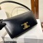 Celine Trapeze Triomphe Bag In Shiny Calfskin Black 2023