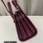 Saint Laurent Sac De Jour Nano Bag in embossed crocodile shiny leather 392035 Burgundy