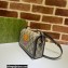 Gucci cat print mini bag 700733