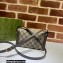 Gucci cat print mini bag 700733