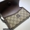 Gucci cat print mini bag 700733