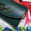 Gucci Zumi Mini Shoulder Bag 564718 in Smooth Leather Green