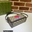 Gucci cherry print mini bag 700733