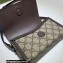 Gucci cherry print mini bag 700733