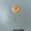 Chanel Flap Phone Holder with Chain AP3071 Gray 2023