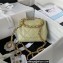 Chanel Leather Mini Flap Bag with Top Handle AS3748 Light Green 2023
