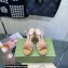 Gucci Heel 12cm platform 4cm sandals with Bow Apricot 2023