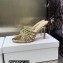 Dior Heel 9.5cm Gem Slides Multicolor in Cotton Metallic Thread Embroidery with Square Strass 2023
