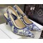 Dior Heel 6.5cm J'Adior Slingback Pumps in Blue Cotton Embroidered with Dior Jardin d'Hiver Motif 2023