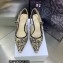 Dior Heel 6.5cm J'Adior Slingback Pumps in Hazelnut Toile de Jouy Embroidered Cotton 2023