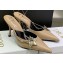 Dior Heel 8.5cm Chain and Star Pointed Toe Mules Beige 2023