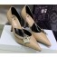 Dior Heel 8.5cm Chain and Star Pointed Toe Pumps Beige 2023