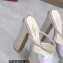Valentino Heel 15.5cm platform 4cm Tan-Go Slides in patent leather Rainbow Silver 2023