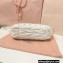 Miu Miu Wander matelassé nappa leather mini hobo bag 5BC125 White