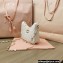 Miu Miu Matelassé nappa leather shoulder bag 5BH211 White