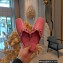 Balenciaga Heel 2.5cm Cosy Cagole Mules Pink 2023
