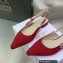 Dior J'Adior Slingback Ballerina Flats in Red Embroidered Cotton 2023