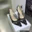 Dior Heel 9.5cm J'Adior Slingback Pumps in Black Transparent Mesh Embroidered with Dior Roses Motif 2023