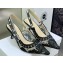 Dior Heel 6.5cm J'Adior Slingback Pumps in Black Transparent Mesh Embroidered with Dior Roses Motif 2023