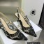 Dior Heel 6.5cm J'Adior Slingback Pumps in Black Transparent Mesh Embroidered with Dior Roses Motif 2023