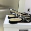 Dior J'Adior Slingback Ballerina Flats in Black Transparent Mesh Embroidered with Dior Roses Motif 2023