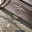 Chanel Classic Flap Medium Bag 1112 In Python 2023